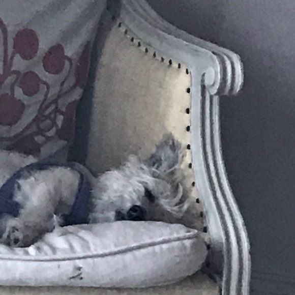 Meet Your Posher - Picture 3 of 3